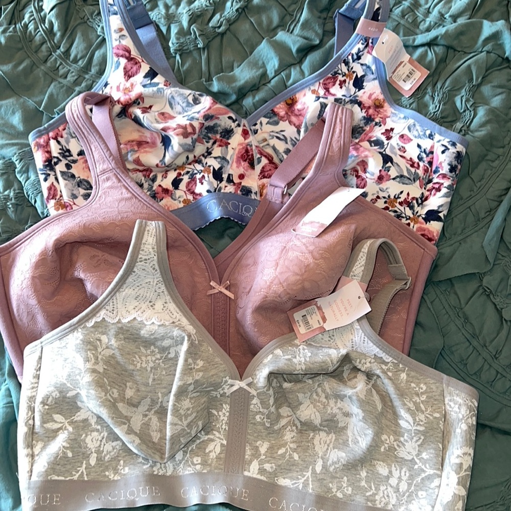 3 BNWT Lane Bryant/Cacique bras 44DD no wire